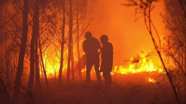 incendies en Gironde